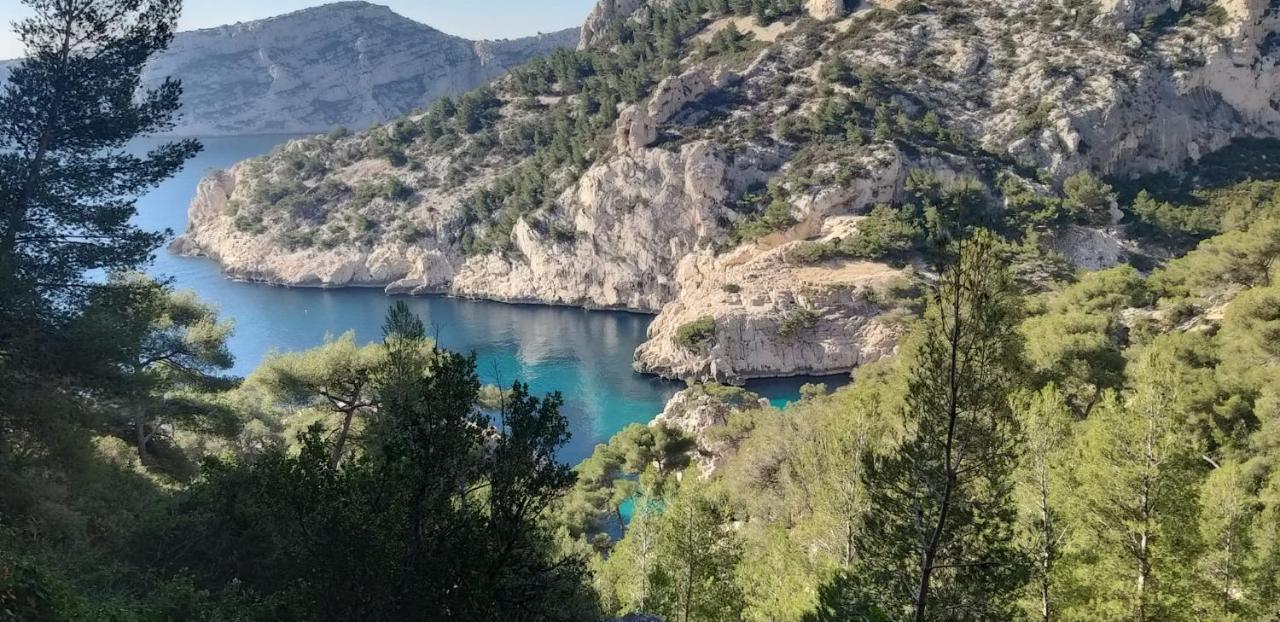 Appartement En Bord De Mer فوس-سور-مير المظهر الخارجي الصورة